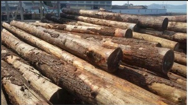 重庆建筑木方 重庆建筑木方