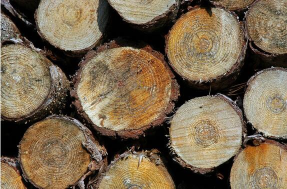 叼嘿视频免费防蓝变/防霉的处理方法 叼嘿视频免费防蓝变/防霉的处理方法