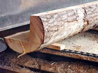 叼嘿视频免费加工