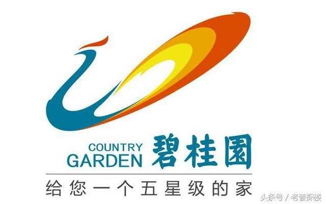 【碧桂园生活水系统】叼嘿免费视频合同